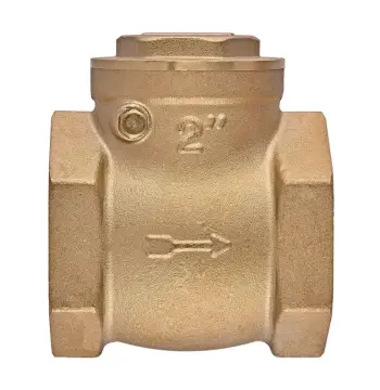 Клапан зворотній пелюстковий Koer KR.174-50 - 2" Т-подібний (KR5263)