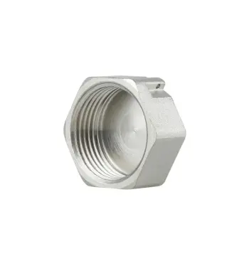 Заглушка Thermo Alliance Forte 3/4" ВР SF35220