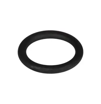 Ущільнююче кільце Airfel Maestro гумове для патрубка газового котла (SD00050924)