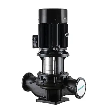 TB65-20/2 SHIMGE 380В цирк. сухий ротор 3 кВт Hmax 26м Qmax 667л/хв DN65 360мм