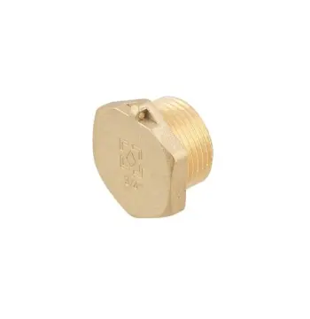 Заглушка Raftec GOLD під пломбу ЗЗ 3/4"