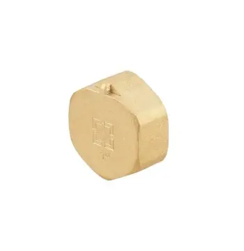 Заглушка Raftec GOLD під пломбу ВВ 1"