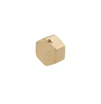 Заглушка Raftec GOLD під пломбу ВВ 1/2"