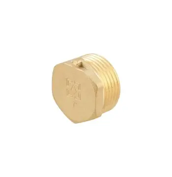 Заглушка Raftec GOLD під пломбу НН 1"