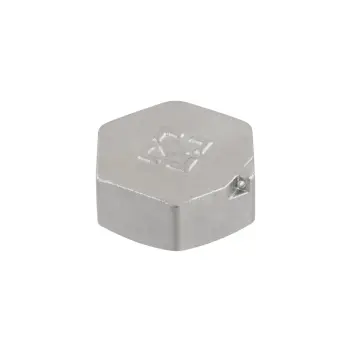 Заглушка Raftec PN40 ВВ 1" ZV03
