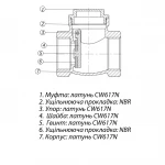 Кільце ущільнююче паранітове ЭКО 3/4 