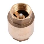 Клапан обратного хода воды SOLOMON 3/4″ 6021-6020 пласт. шток