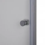 Душові двері PROSNA 80FS BRAVO (1уп.)