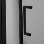 Душевые двери POPRAD 80TB BRAVO (1уп.)