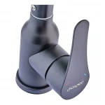 Смеситель для кухни Champion SAP-011 Black (нерж. сталь) (CH6149)