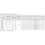 Насос скважин. центроб.+пульт Koer 4SDM 2/21 (KP2630)