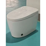Унітаз-біде підлоговий з електронним управлінням Koer TB-0201 Smart 675x400x450mm із вбудованим бачком (KR6071)
