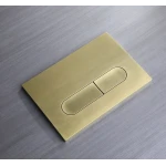 Панель змиву Koer KT-0608-12 240x160x10mm пластик., кнопка закруглена (колір матове золото) (KR6126)
