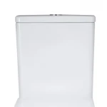 Бачок до унітазу-компакту Mixxus Premium Quadro-0401-R Tank 610х365х825 зі зливною арматурою (MI8312)