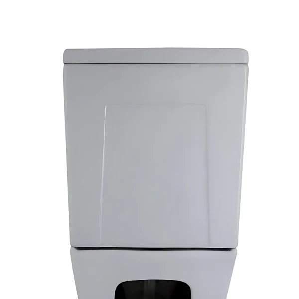 Бачок до унітазу-компакту Mixxus Premium Style-0401-T3 Tank 620х365х805 зі зливною арматурою (MI8328)