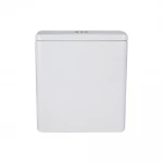 Унитаз-компакт Mixxus Premium Ellipse-0401-T1 630x390x840mm, система смыва TORNADO 1.0 (MP6467)