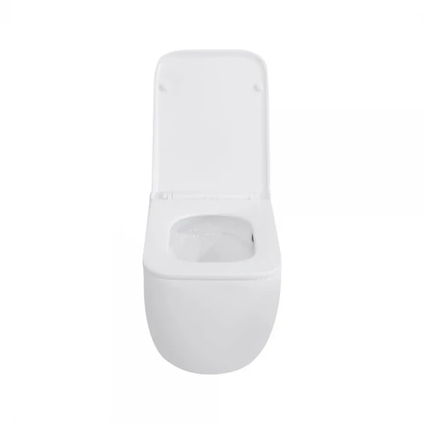 Унитаз подвесной Mixxus Premium Diverse-0301-T1 530x365x373mm, система смыва Tornado 1.0 (MP6477)