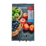 Газова колонка MIXXUS GWH-0310 BASIC GLASS димохідна 10 л/хв (панель зі скла з малюнком) (WH0024)