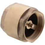 Клапан обратный СК 2" (латунь) (WP0047)