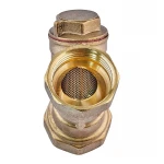 Фільтр грубої очистки з вушком (латунь) Waterpro WP200-25 - 1" (WP3306)