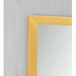 Зеркало настенное Zerix FONTE MRZ09-700x850-REVERSE GOLD прямоугольное в золотой раме (ZX5639)