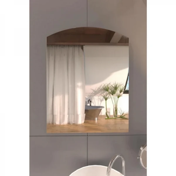 Зеркало настенное Zerix ALIVE MRZ01-45x60 прямоугольное с дугообразным верxом (ZX5641)