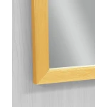 Зеркало настенное Zerix FONTE MRZ09-60x85-Reverse GOLD прямоугольное в золотой раме (ZX6211)