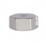 Заглушка SD Forte 1/2