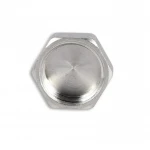 Заглушка SD Forte 1/2