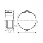 Заглушка SD Forte 1/2
