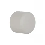 Заглушка PPR Blue Ocean 20