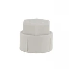 Заглушка PPR Blue Ocean с резьбой 20х1/2