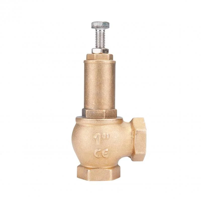 Предохранительный клапан Icma 1