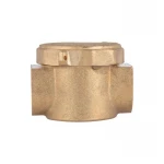 Фільтр латунний SD Plus 1/2