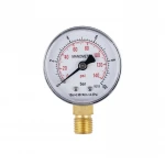 Манометр SD Plus 10 бар 1/4