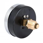 Термоманометр SD Plus 80 мм 1/2