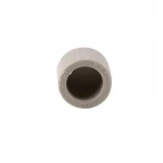 Заглушка PPR Thermo Alliance 20