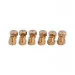 Комплект форсунок под СПГ Thermo Alliance (39930900100919)