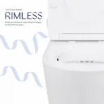 Унітаз-компакт Qtap Stork/Swan безобідковий з сідінням Soft-close QT15222179W