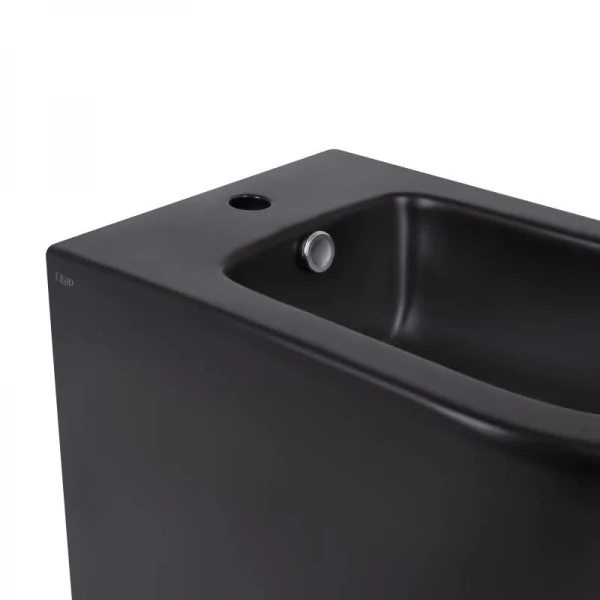 Биде напольное Qtap Scorpio 530x360x395 Matt black QT14441003CMB