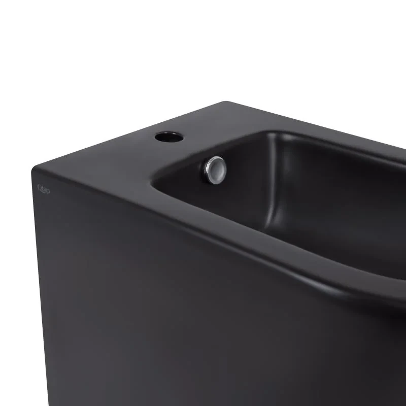 Біде підлогове Qtap Scorpio 530x360x395 Matt black QT14441003CMB