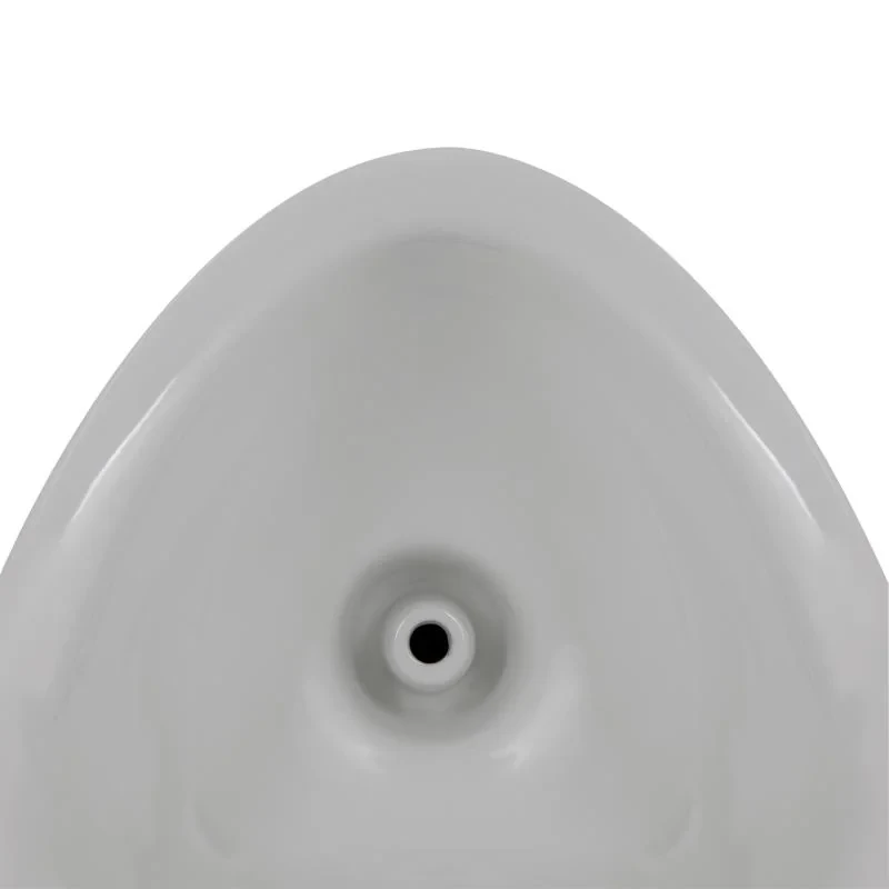 Писсуар подвесной Qtap Crow с краном-дозатором 390х330х660 White QT0588112HW