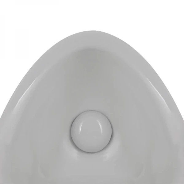 Писсуар подвесной Qtap Crow с краном-дозатором 390х330х660 White QT0588112HW