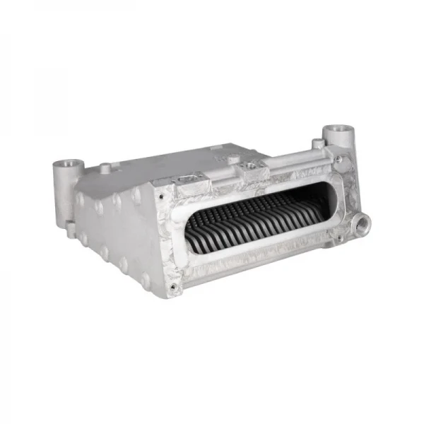 Maestro Основной теплообменник (5018381)