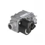 Газовый клапан (3000001924),