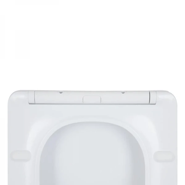 Сиденье для унитаза Qtap (Crow Ultra) с микролифтом Slim QT99SC6108W