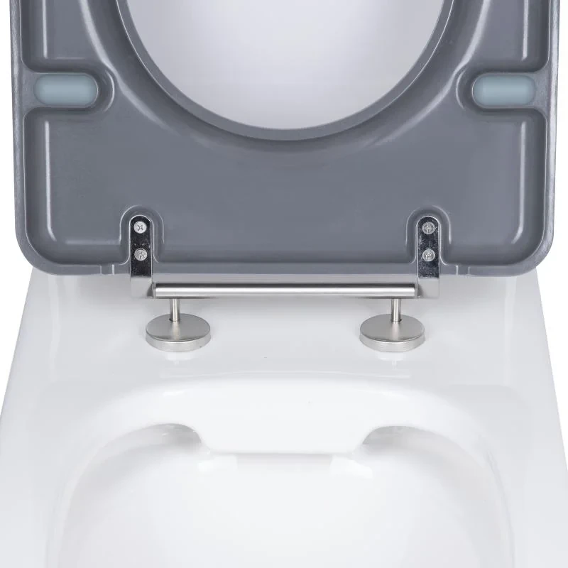 Унитаз напольный Qtap Freedom инклюзивный Rimless безободковый с сиденьем Soft-Close WHITE QT22226098W