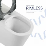 Унітаз підлоговий Qtap Freedom інклюзивний безбачковий Rimless безобідковий з сидінням Soft-close WHITE QT22223368W