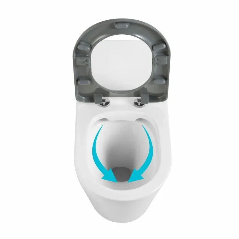 Унитаз напольный Qtap Freedom инклюзивный безбачковый Rimless безободковый с сиденьем Soft-close WHITE QT22223368W