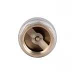 Обратный клапан Thermo Alliance Standart 1